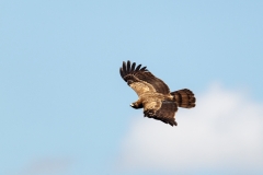 BSI-20180327-_B6H9741