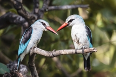 BSI-20180327-_B6H9888