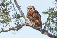 BSI-20180401-_B6H2093