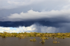 BS_20120515__B6H9350