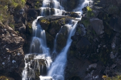 BS_TER_20090601_MG_8545-Edit