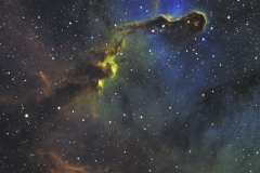 IC1396