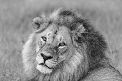 BSI-20180325-_B6H7909