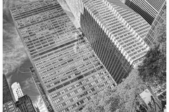 BS_20101114_BS_20101114_MG_8665-Edit