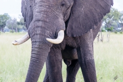 BSI-20180325-173A8484