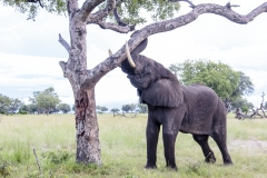 BSI-20180325-173A8504