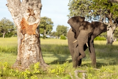 BSI-20180326-173A8554