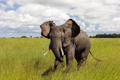 BSI-20180326-173A8588