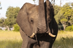 BSI-20180326-_B6H8126