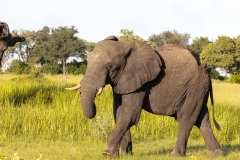 BSI-20180326-_B6H8128