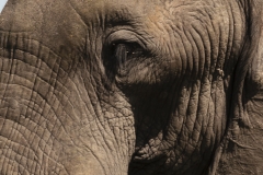 BSI-20180326-_B6H8573