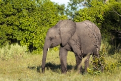 BSI-20180327-_B6H9292