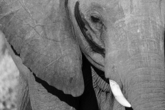 BSI-20180327-_B6H9305