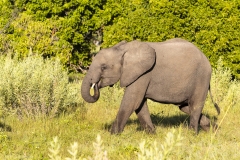 BSI-20180327-_B6H9324