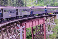 BSI_20150617_MG_0651