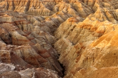 BSI_20170824_BSI-20170824-173A5881_2_3-2