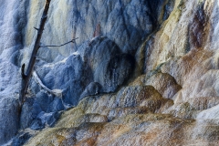 BSI_20170902_BSI-20170902-173A6429-Edit