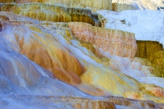 BSI_20170902_BSI-20170902-173A6438-Edit