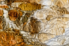 BSI_20170902_BSI-20170902-173A6484-Edit