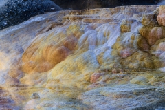 BSI_20170902_BSI-20170902-_B6H7303-Edit