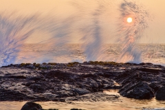 BS_20160113_173A3319-TI