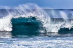 BS_20160116_173A3774-TI