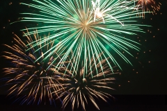 BS_20100705comp-39373941--