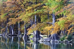 BS_20111012__MG_5841-Edit