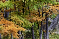 BS_20111113__MG_5976-Edit