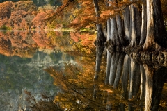 BS_TER20091121_mg_9951