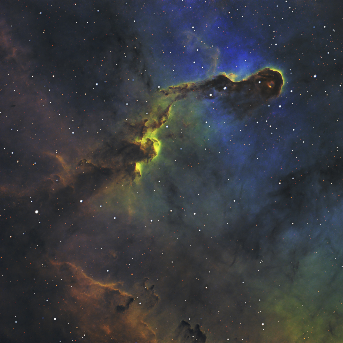 IC1396