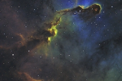 IC1396