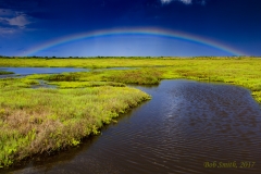 wetland rainbow