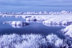 Texas wetlands infrared image.